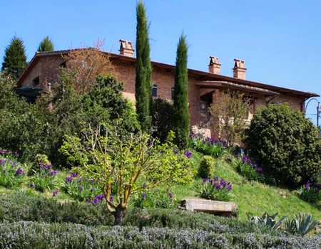 La Frassinella